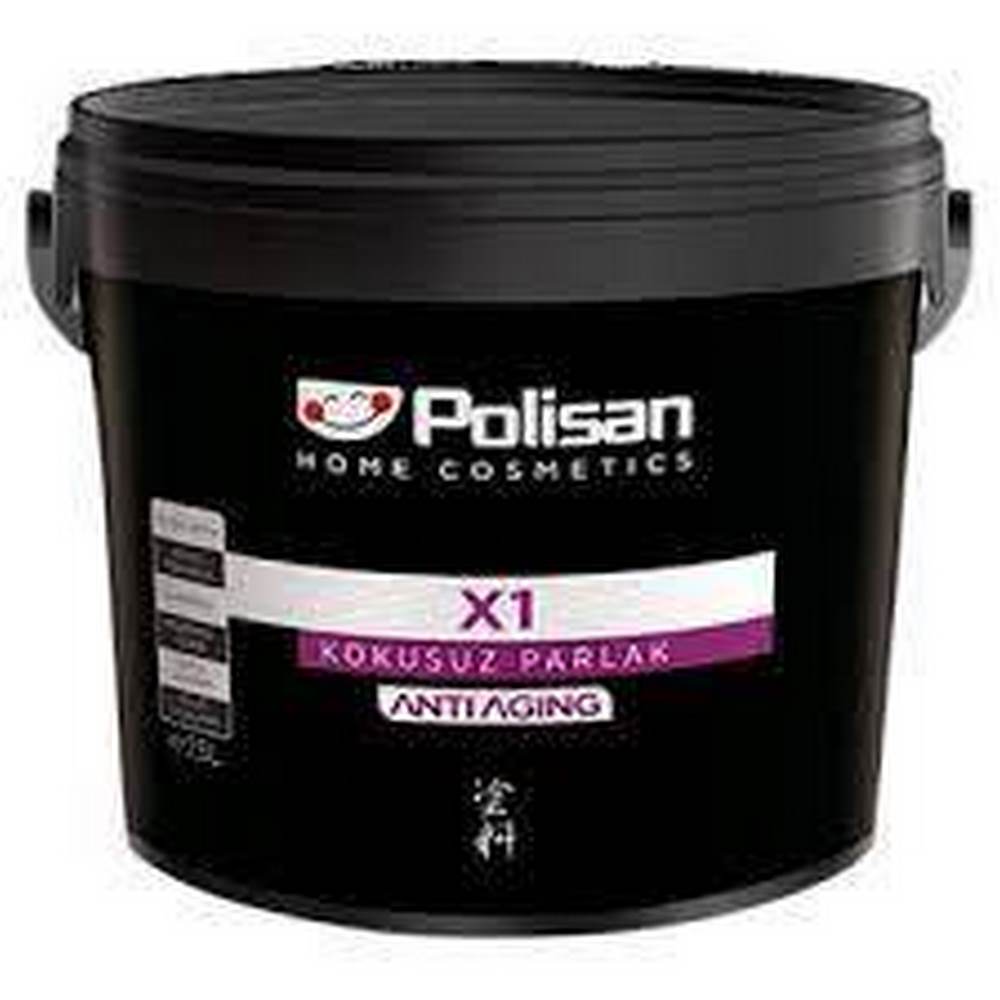 Polisan X1 Amerikan Panel Kapı Beyaz 2,5l