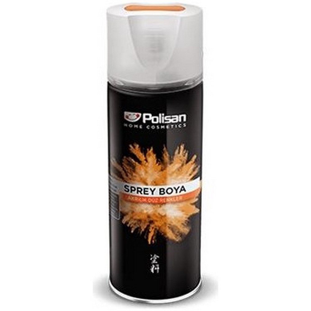 Polisan Sprey Boya Metalik Gümüş 400 Ml Ral-9006