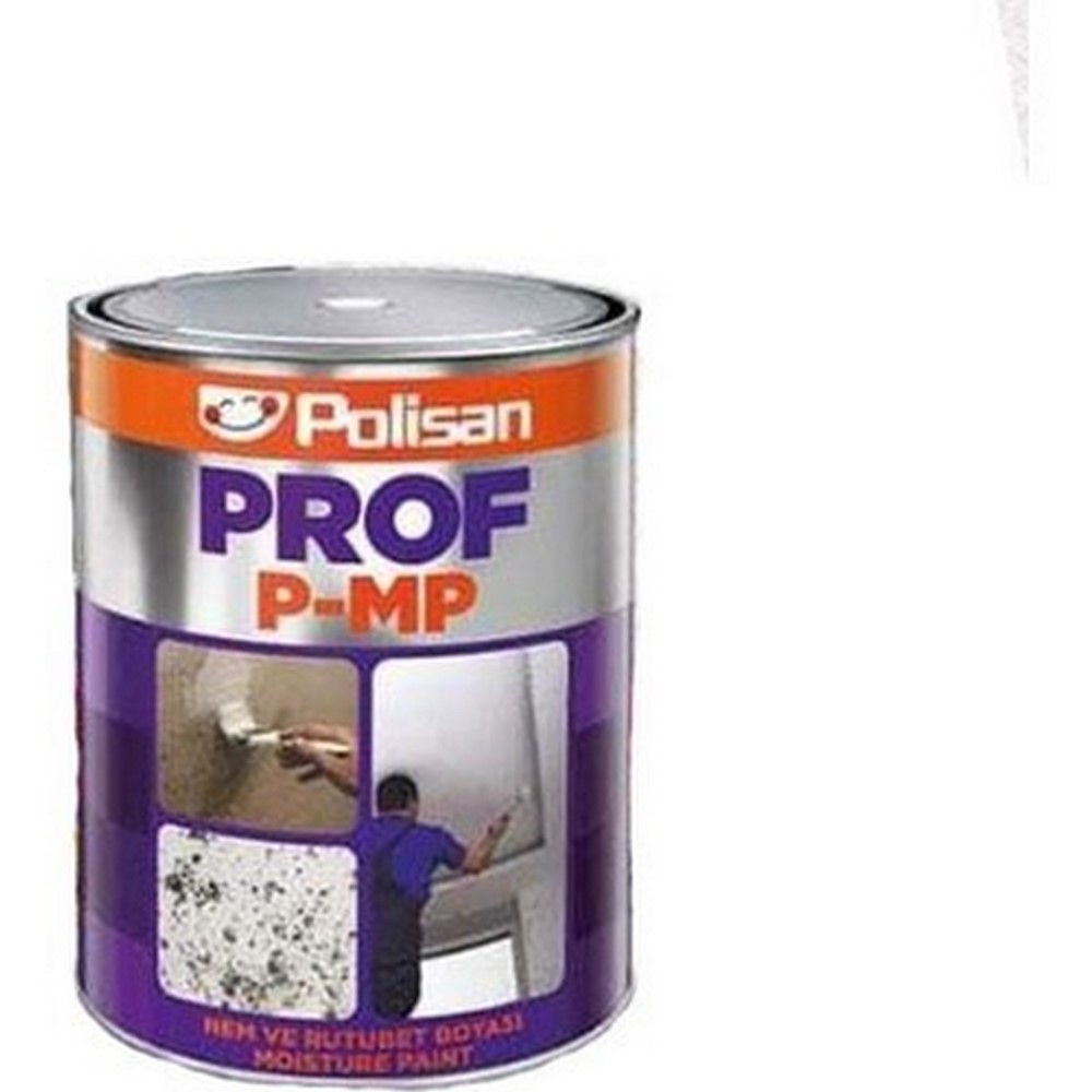 Polisan Prof P-MP 1KG Nem ve Rutubet Boyası