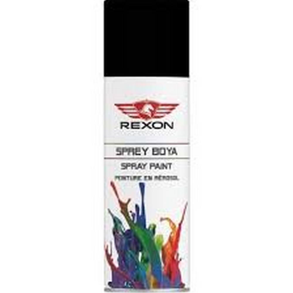 Rexon Sprey Boya 200Ml Beyaz
