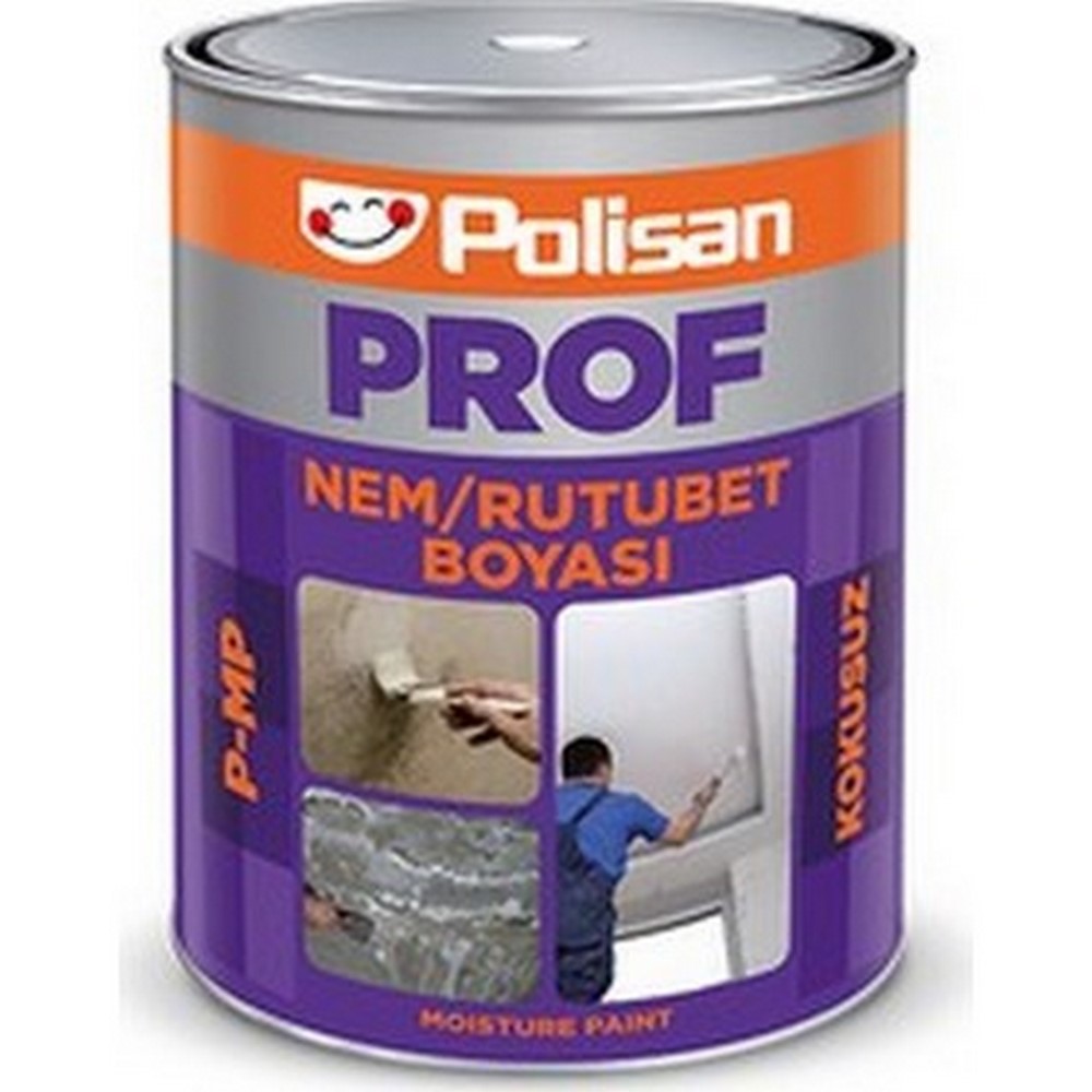 Prof P-mp Nem Boyası 2,5 Kg